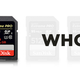 Illustration for article titled SanDisks Ridiculous New 512 GB SD Card Costs $800
